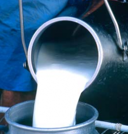 In Las Tunas, Cuba: Increase of the production of milk and its direct sale to the population